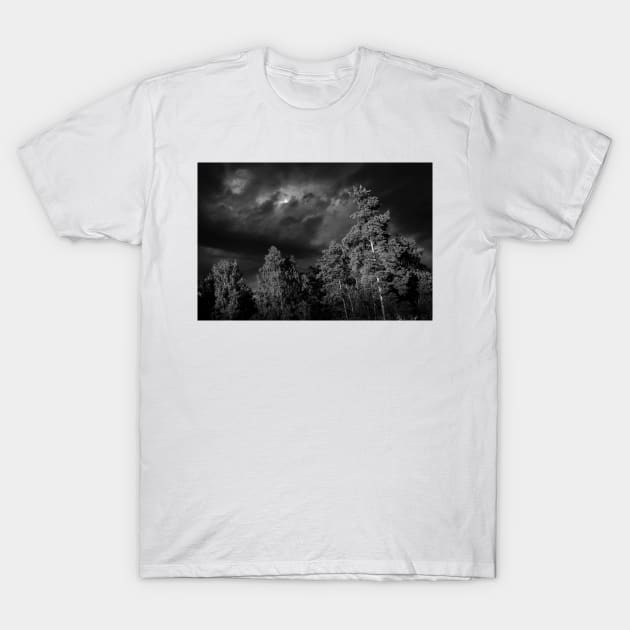 Dramatic clouds in the sky over the dark Swedish forest T-Shirt by connyM-Sweden